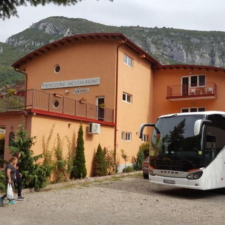 Pensiune Safrane Baile Herculane Exterior photo