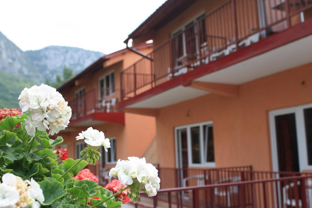 Pensiune Safrane Baile Herculane Exterior photo